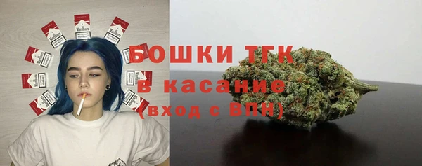 индика Абаза