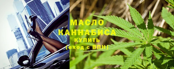 индика Абаза