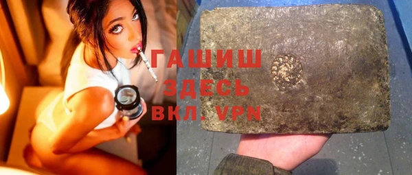 индика Абаза