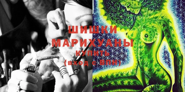 индика Абаза