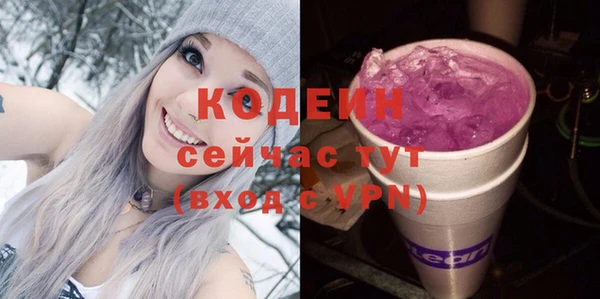 индика Абаза