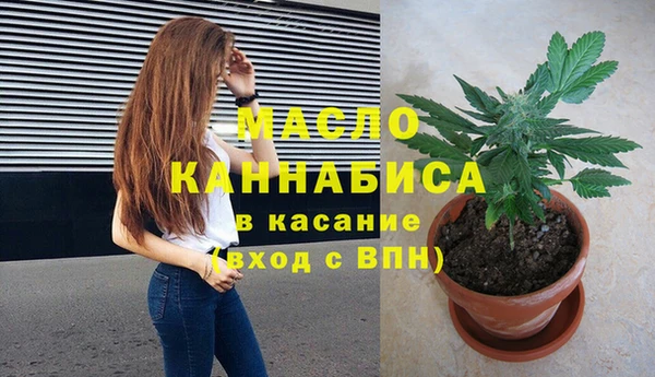 индика Абаза