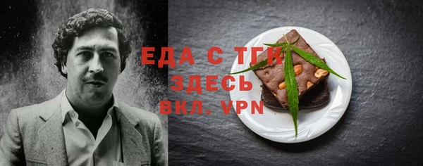 индика Абаза