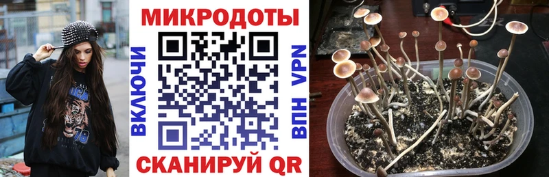 Галлюциногенные грибы мухоморы  Чебаркуль 
