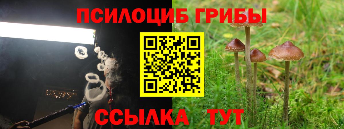 наркошоп  Псилоцибиновые грибы Cubensis  Псилоцибиновые грибы ЛСД  Вход с VPN  Чебаркуль 