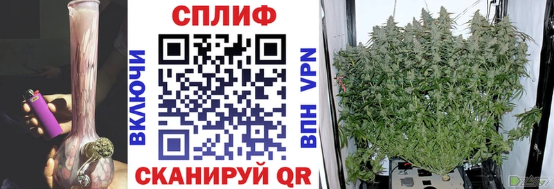 Канабис сатива  хочу   Чебаркуль 